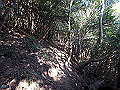 bizan048_thumb.png