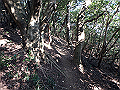 bizan049_thumb.png