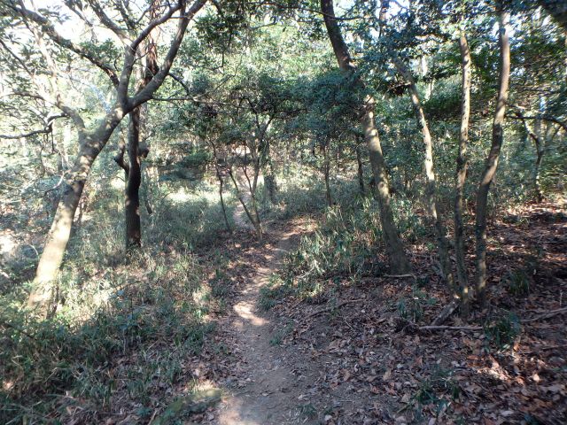 bizan051.jpg