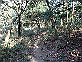 bizan051_thumb.png