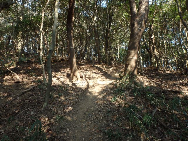 bizan052.jpg