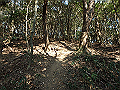bizan052_thumb.png