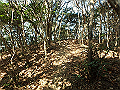 bizan053_thumb.png