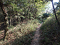 bizan058_thumb.png