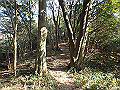 bizan059_thumb.png