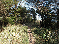 bizan061_thumb.png