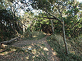 bizan064_thumb.png