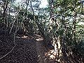 bizan066_thumb.png