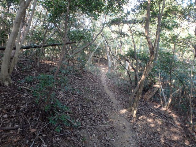 bizan067.jpg
