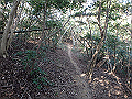 bizan067_thumb.png