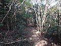 bizan068_thumb.png
