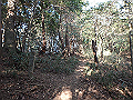 bizan069_thumb.png