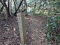 bizan070_thumb.png