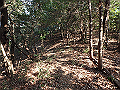 bizan071_thumb.png