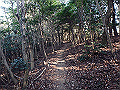 bizan073_thumb.png