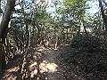 bizan074_thumb.png