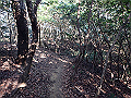 bizan075_thumb.png