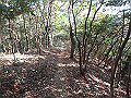 bizan076_thumb.png