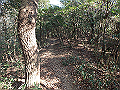 bizan077_thumb.png