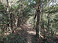 bizan078_thumb.png
