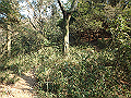 bizan079_thumb.png