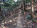 bizan080_thumb.png