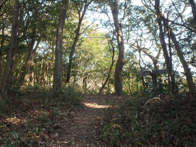 bizan081.jpg
