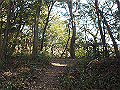 bizan081_thumb.png