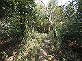 bizan084_thumb.png