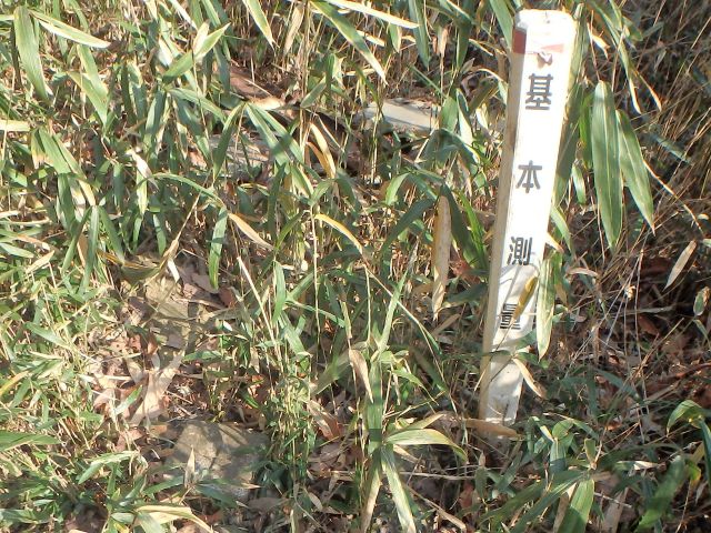 bizan089.jpg