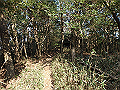 bizan090_thumb.png