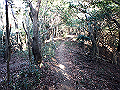 bizan091_thumb.png