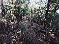 bizan092_thumb.png