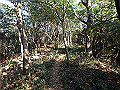 bizan093_thumb.png