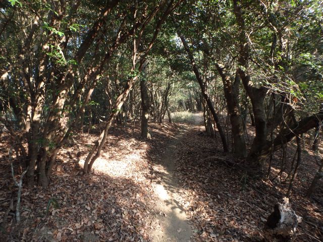 bizan094.jpg
