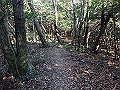 bizan095_thumb.png