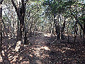 bizan097_thumb.png