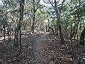 bizan099_thumb.png