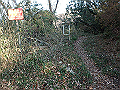 bizan118_thumb.png
