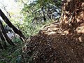 bizan131_thumb.png
