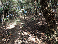 bizan132_thumb.png
