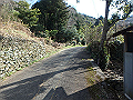 bizan015_thumb.png