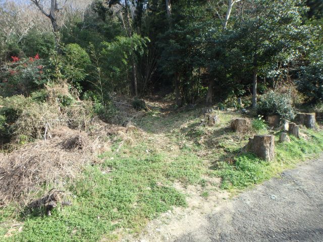 bizan016.jpg