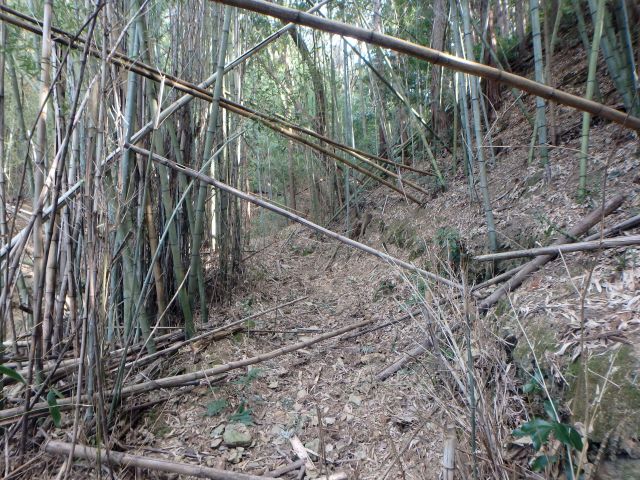 bizan017.jpg