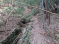 bizan018_thumb.png