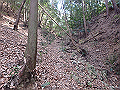 bizan021_thumb.png