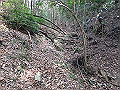 bizan022_thumb.png