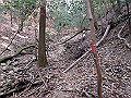 bizan023_thumb.png