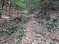 bizan024_thumb.png