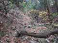 bizan025_thumb.png